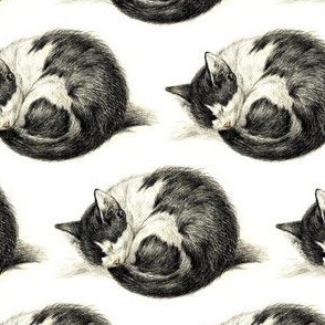 vintage retro kitsch whimsical black cats kittens monochrome black white sleeping napping