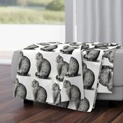 vintage retro kitsch whimsical black cats kittens monochrome black white sitting 