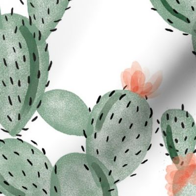 green paddle cactus + rose