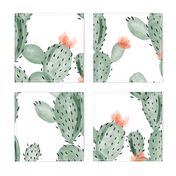 green paddle cactus + rose // oversized