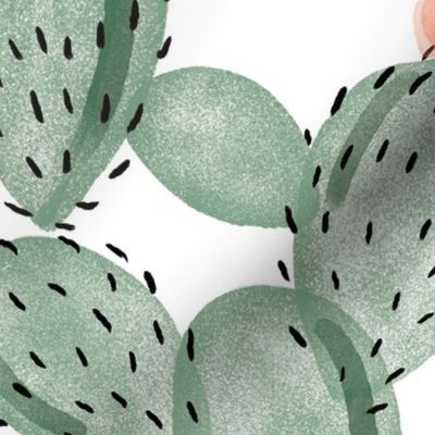 green paddle cactus + rose // oversized