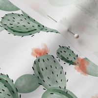green paddle cactus + rose // small 