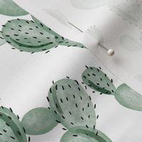 green paddle cactus // small