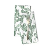 green paddle cactus // small