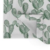 green paddle cactus // small