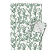 green paddle cactus // small