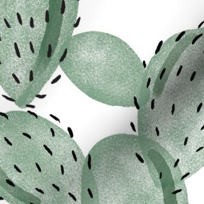 green paddle cactus // oversized