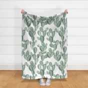 green paddle cactus // oversized