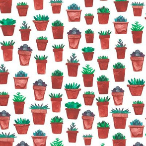 Little Succulent Pots
