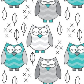 teal and grey sleeping owls