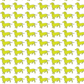 Weenie Collective - Lime - Dachshund - Dog