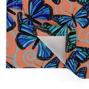 Butterfly Blues on orange