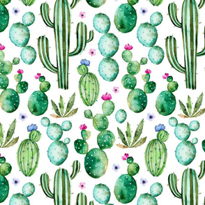 Watercolour Cactus