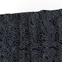 Black and White Stripes Wave Elevation Topographic Topo Map Pattern 