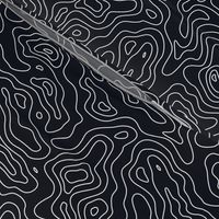 Black and White Stripes Wave Elevation Topographic Topo Map Pattern 