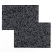 Black and White Stripes Wave Elevation Topographic Topo Map Pattern 