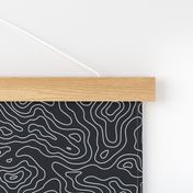 Black and White Stripes Wave Elevation Topographic Topo Map Pattern 