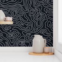 Black and White Stripes Wave Elevation Topographic Topo Map Pattern 