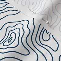 Dark Navy Royal Blue and White Stripes Wave Elevation Topographic Topo Map Pattern 