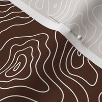 Topographic Map Brown and White Stripes Wave Elevation Topographic Topo Map Pattern 