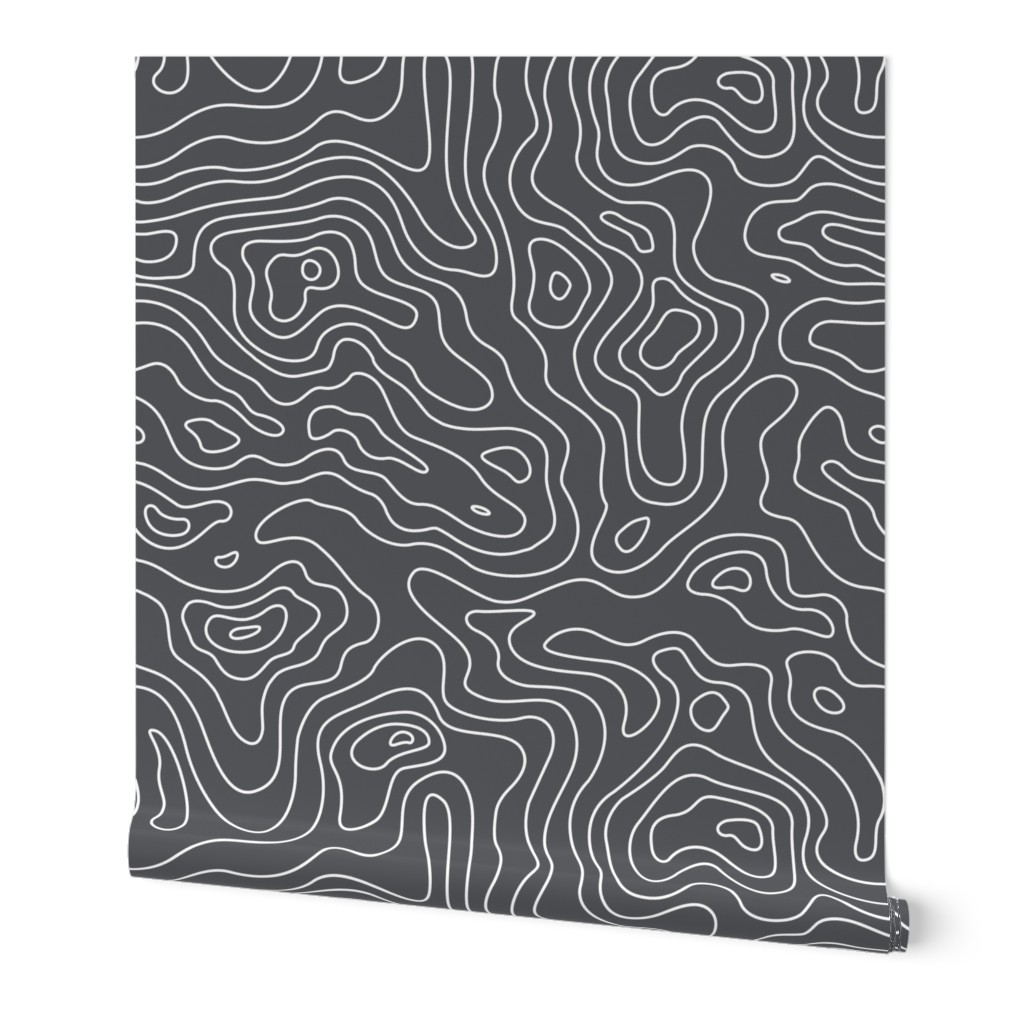 Dark Grey and White Stripes Wave Elevation Topographic Topo Map Pattern 