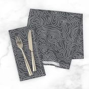 Dark Grey and White Stripes Wave Elevation Topographic Topo Map Pattern 