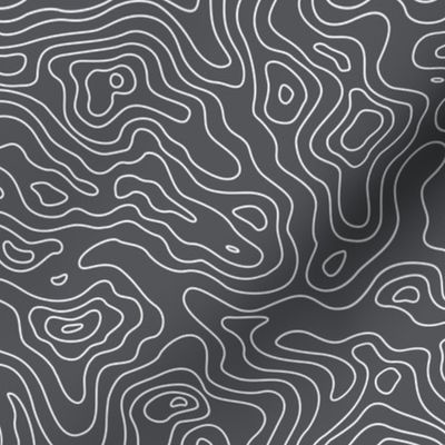 Dark Grey and White Stripes Wave Elevation Topographic Topo Map Pattern 