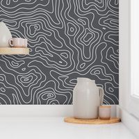 Dark Grey and White Stripes Wave Elevation Topographic Topo Map Pattern 