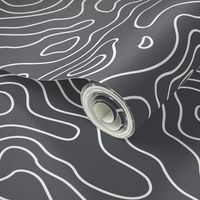 Dark Grey and White Stripes Wave Elevation Topographic Topo Map Pattern 