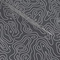 Dark Grey and White Stripes Wave Elevation Topographic Topo Map Pattern 