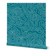 Dark Teal and White Stripes Wave Elevation Topographic Topo Map Pattern -KC