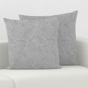 Topographic Map Grey and White Stripes Wave Elevation Topographic Topo Map Pattern 