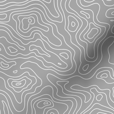 Topographic Map Grey and White Stripes Wave Elevation Topographic Topo Map Pattern 