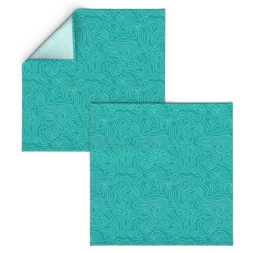 Topographic Map Teal and White Stripes Wave Elevation Topographic Topo Map Pattern 