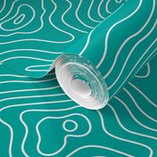 Topographic Map Teal and White Stripes Wave Elevation Topographic Topo Map Pattern 