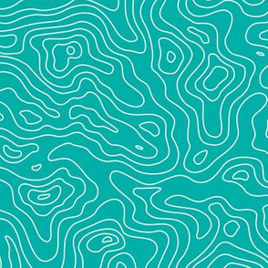 Topographic Map Teal and White Stripes Wave Elevation Topographic Topo Map Pattern 