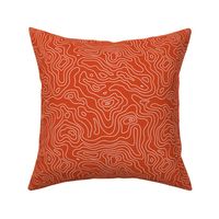 Red Orange Burnt Umber and White Stripes Wave Elevation Topographic Topo Map Pattern 