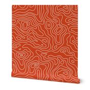 Red Orange Burnt Umber and White Stripes Wave Elevation Topographic Topo Map Pattern 