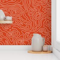 Red Orange Burnt Umber and White Stripes Wave Elevation Topographic Topo Map Pattern 