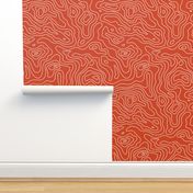 Red Orange Burnt Umber and White Stripes Wave Elevation Topographic Topo Map Pattern 