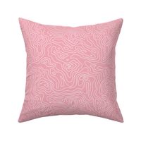 Topographic Map Pink and White Stripes Wave Elevation Topographic Topo Map Pattern 
