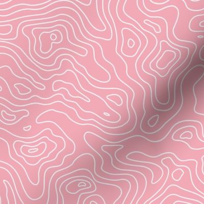 Topographic Map Pink and White Stripes Wave Elevation Topographic Topo Map Pattern 