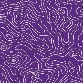 Topographic Map Purple and White Stripes Wave Elevation Topographic Topo Map Pattern -01-01-01-01