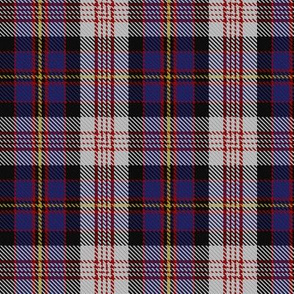 Cameron of Errecht Dress Tartan // Small