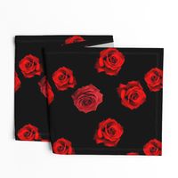 Scattered Red Roses on Black