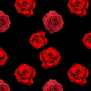 Scattered Red Roses on Black