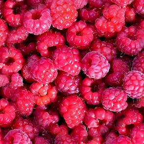 Delicious Summer Raspberries