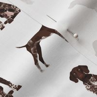 german shorthaired pointer fabric dogs pets and dog fabric