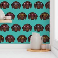 german shorthaired pointer in glasses fabric - turquoise