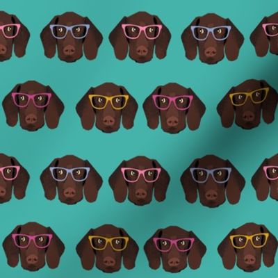 german shorthaired pointer in glasses fabric - turquoise